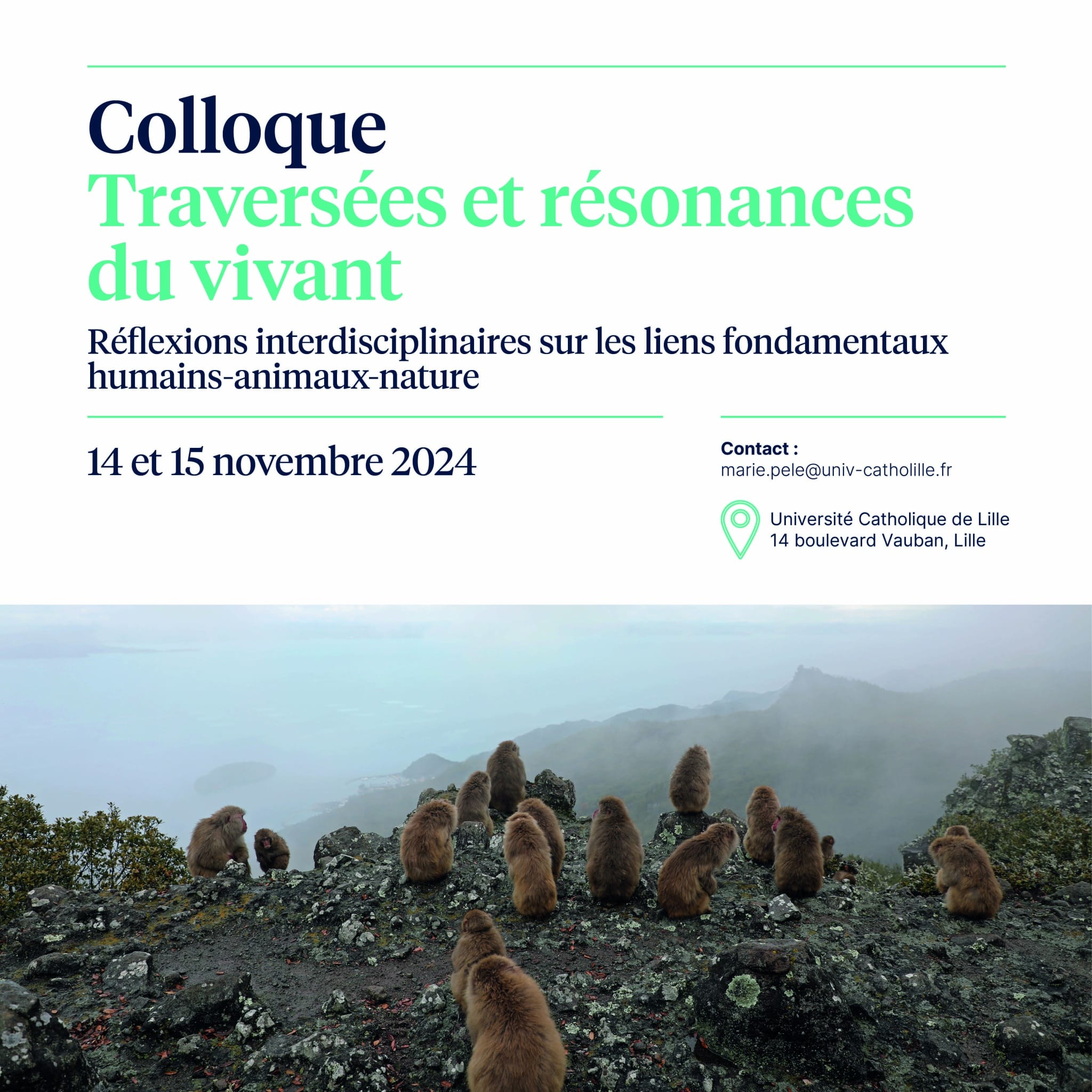 Colloque – “Traversées et résonances du vivant”