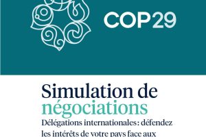 Simulations COP29