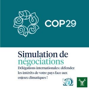 Simulations COP29